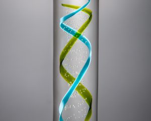 DNA Helix custom award